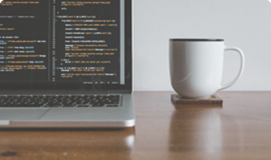 The Web Developer  Bootcamp